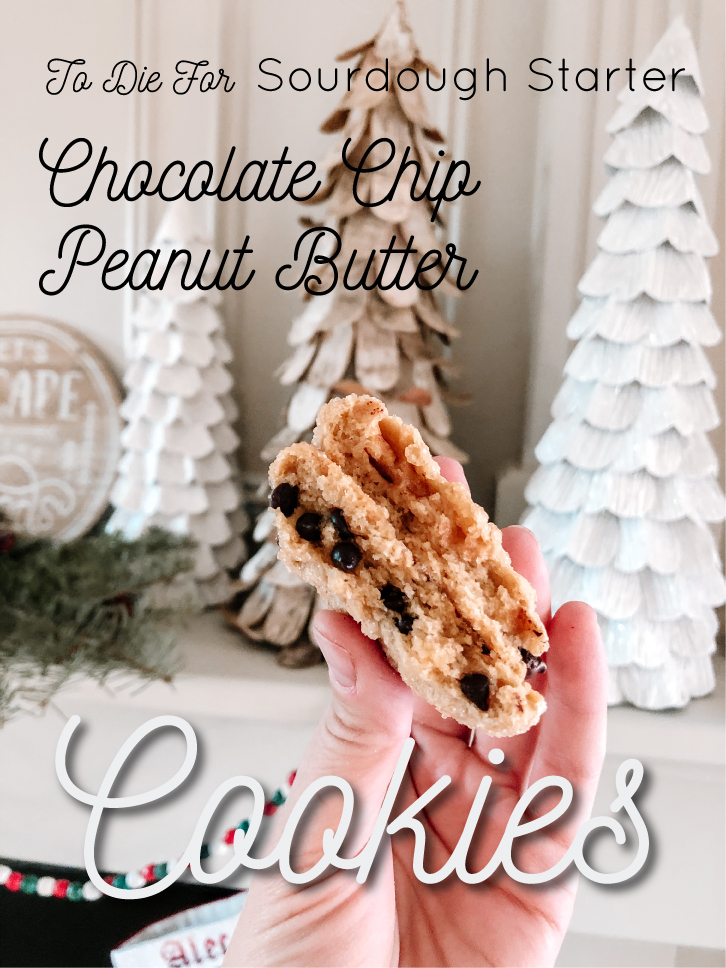 Sourdough Starter Peanut Butter Cookies