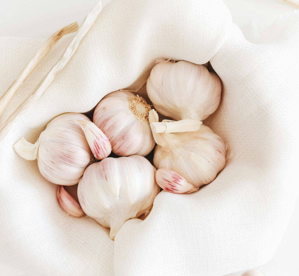 garlic