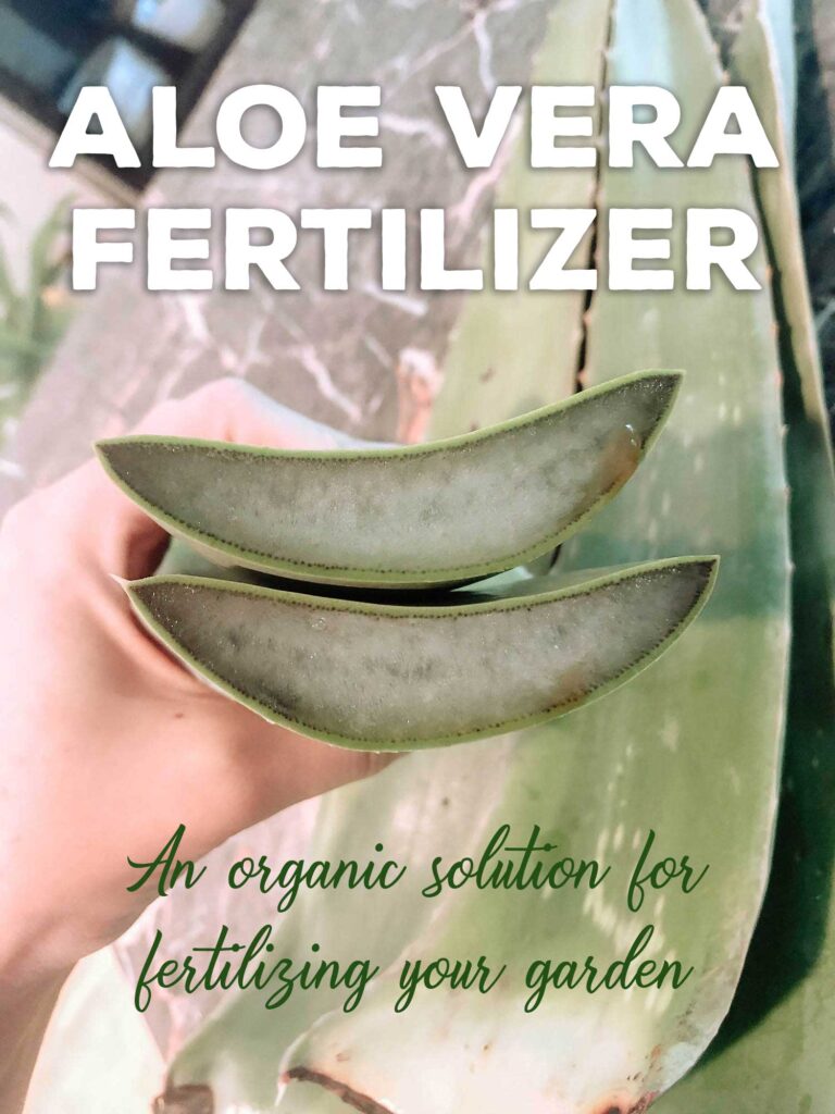 Aloe Vera Fertilizer