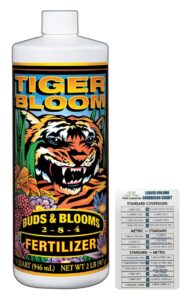 Tiger Bloom