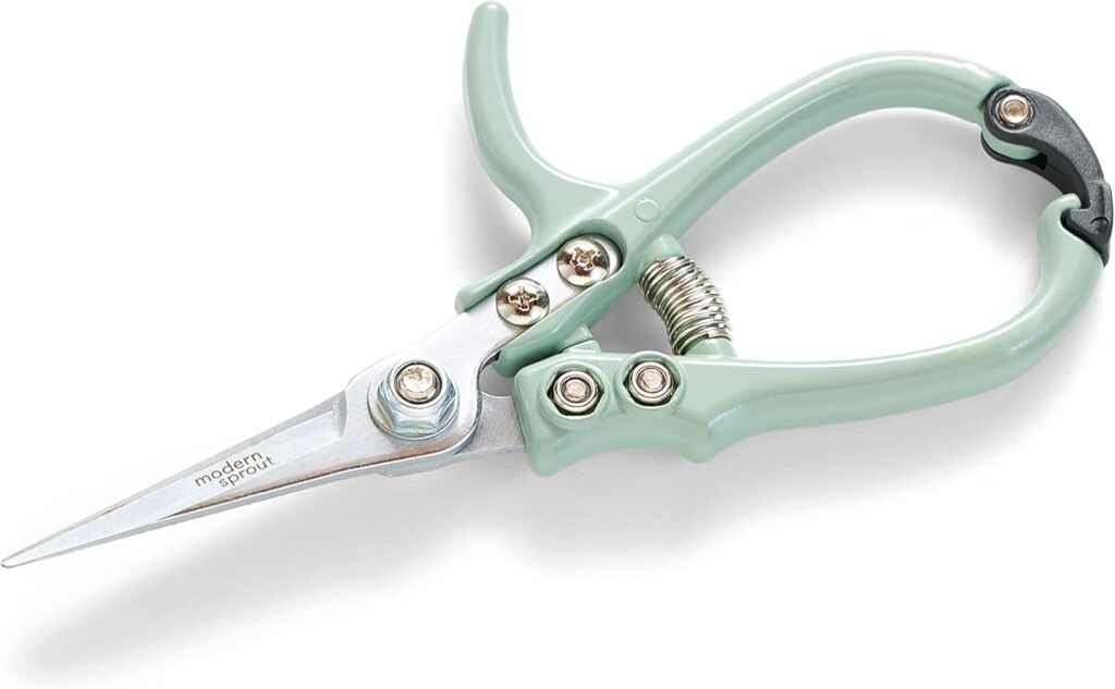 Pruning Shears
