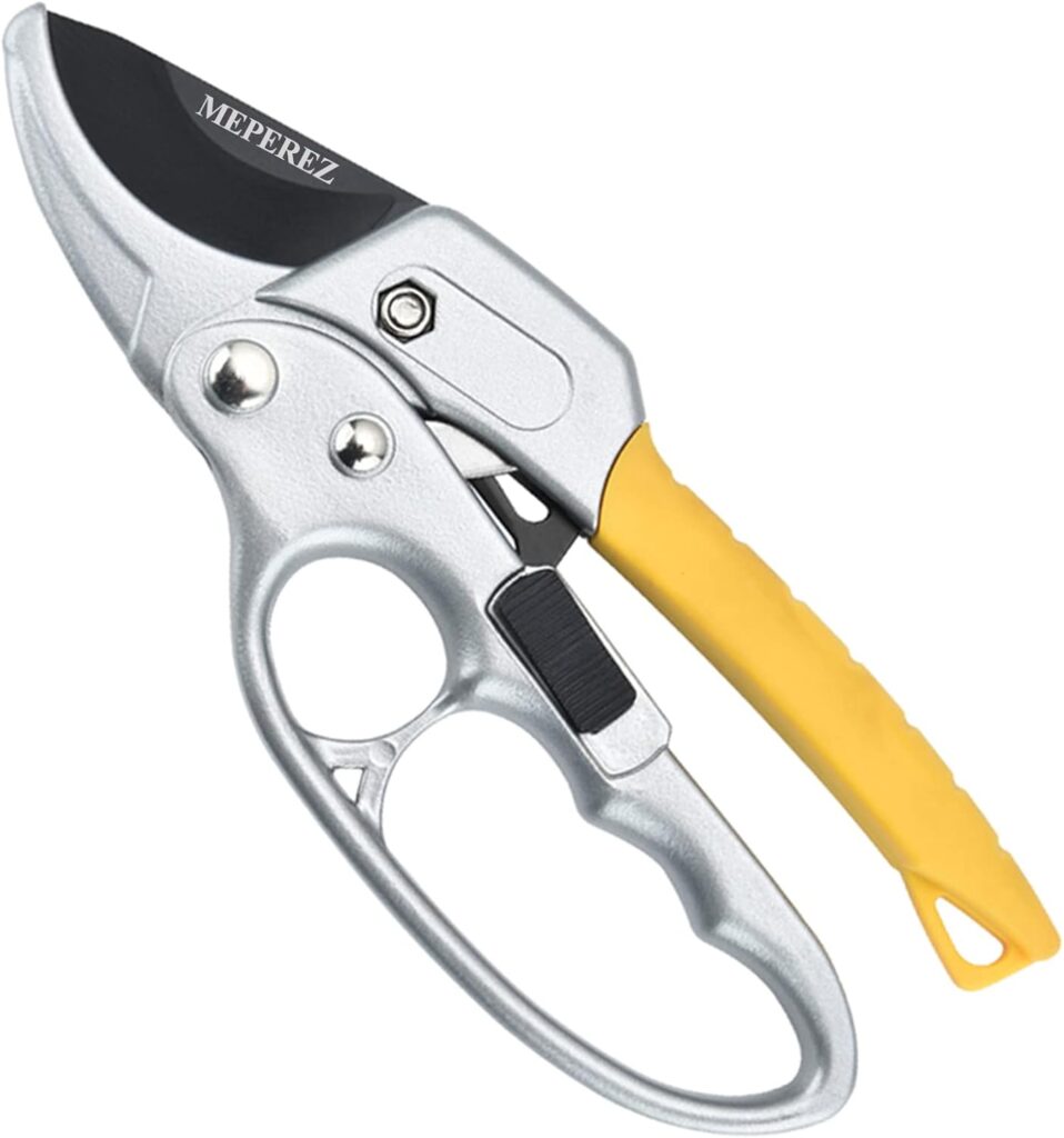 Arthritic Shears